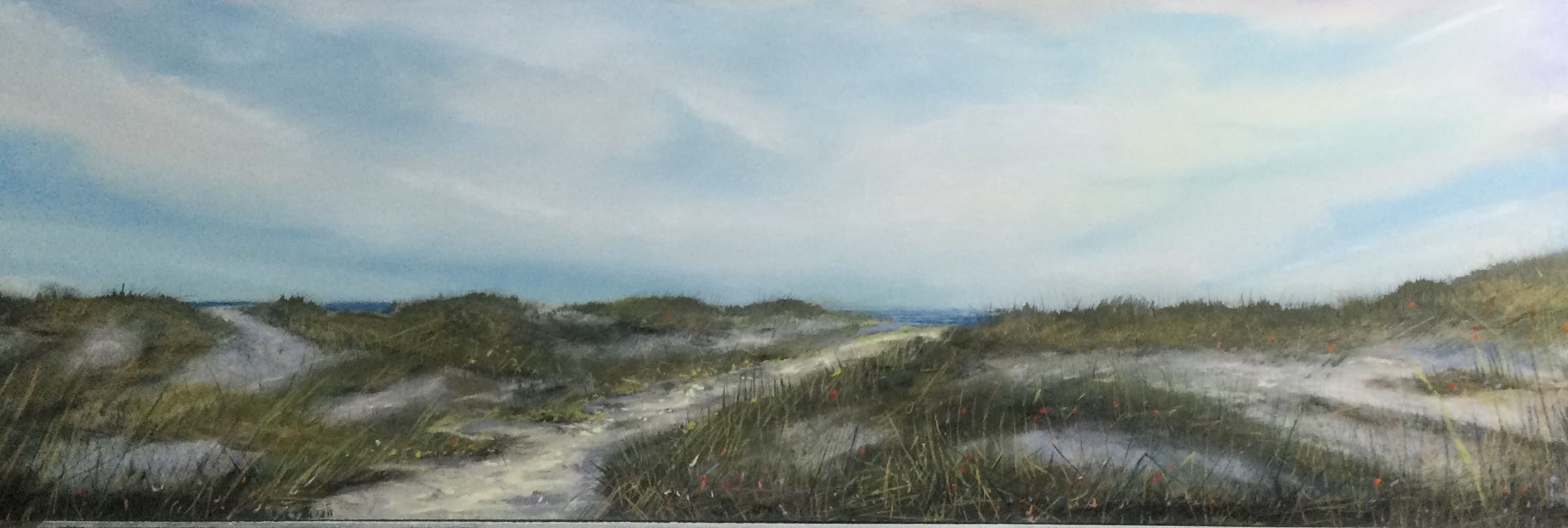 Dune Path  10 x 30
