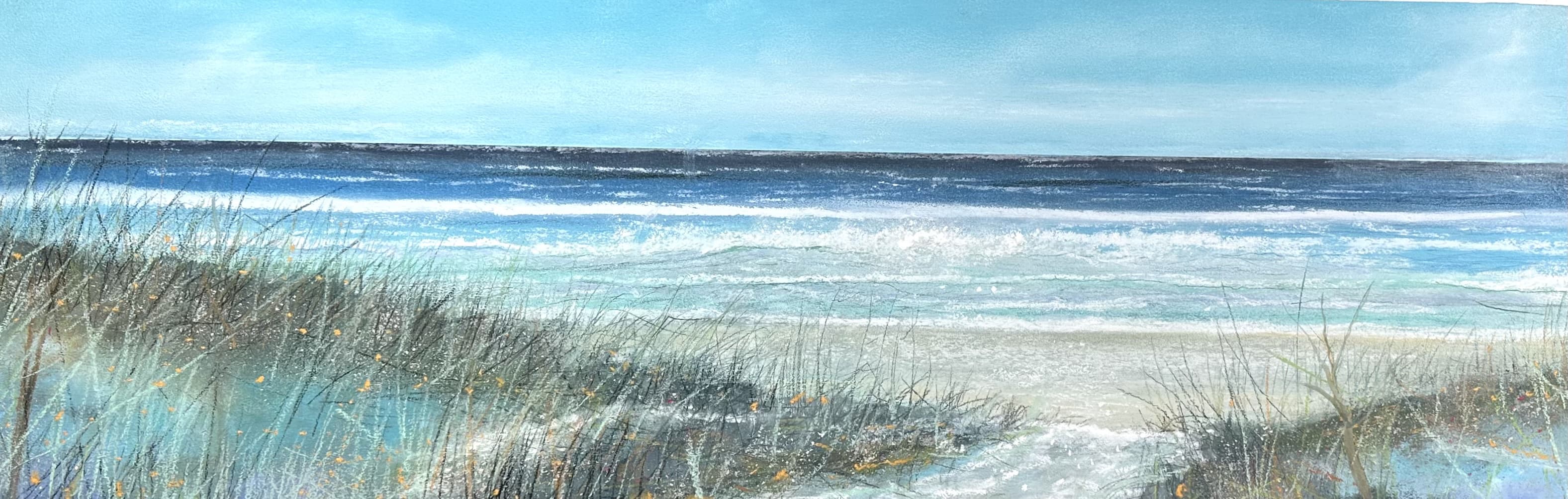  Sentinals 10 x 30